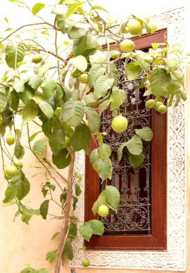 Riad Dar Rania Marrakech Medina Jemaa El Fna Marrakesh Luaran gambar